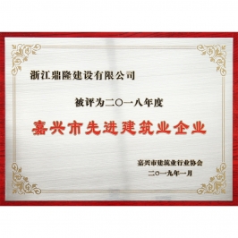 企业荣誉